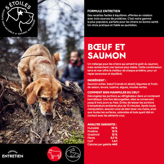 Aliments 5 étoiles - Formule Entretien Boeuf & Saumon 10 lbs