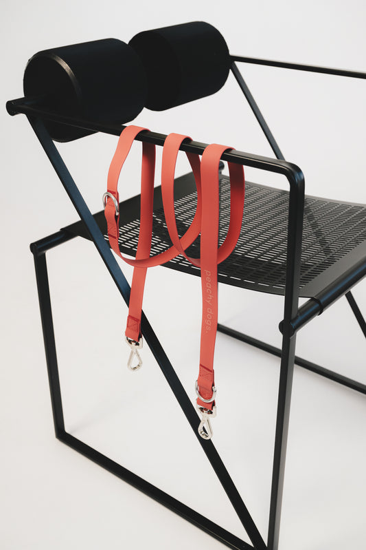 Laisse On-the-go - CHESTNUT - PEACHY DOGS