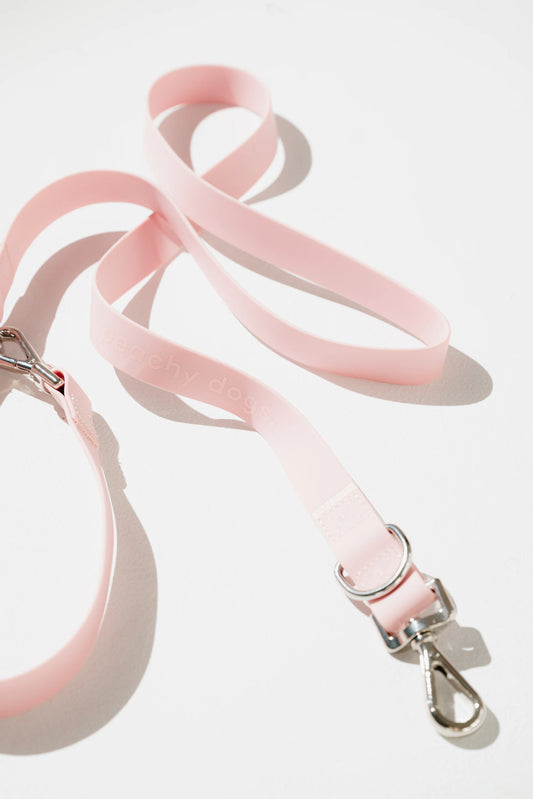 Laisse On-the-go - LYCHEE - PEACHY DOGS