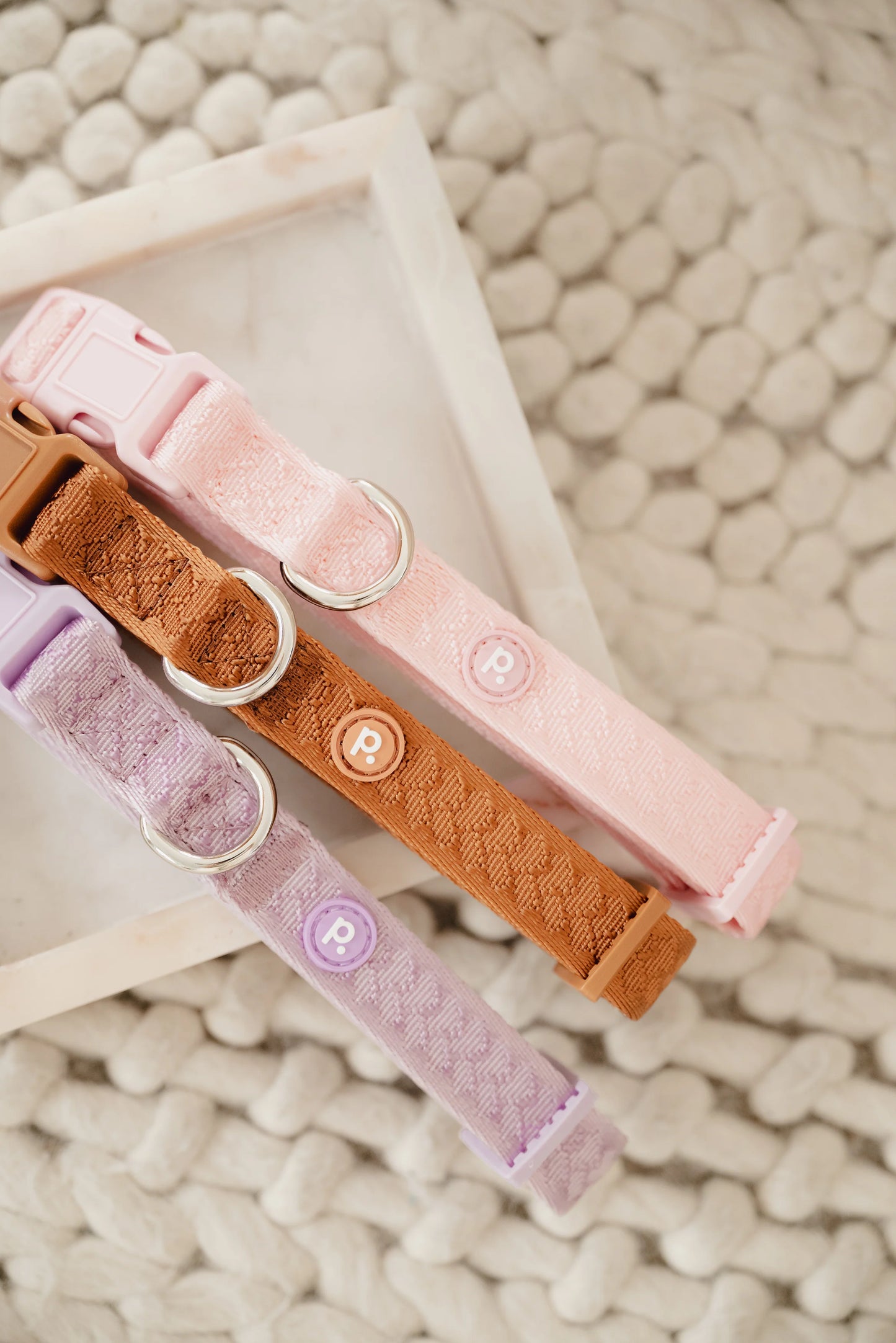 Collier Daily - LILA - PEACHY DOGS