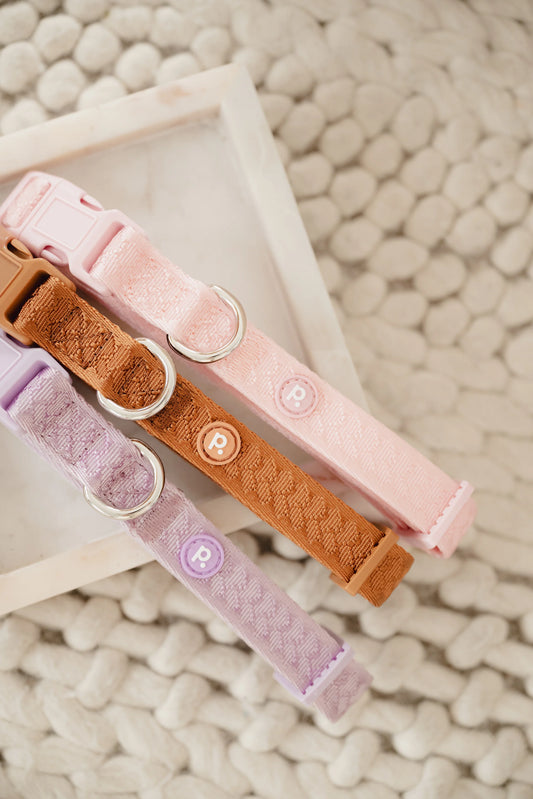 Collier Daily - LILA - PEACHY DOGS