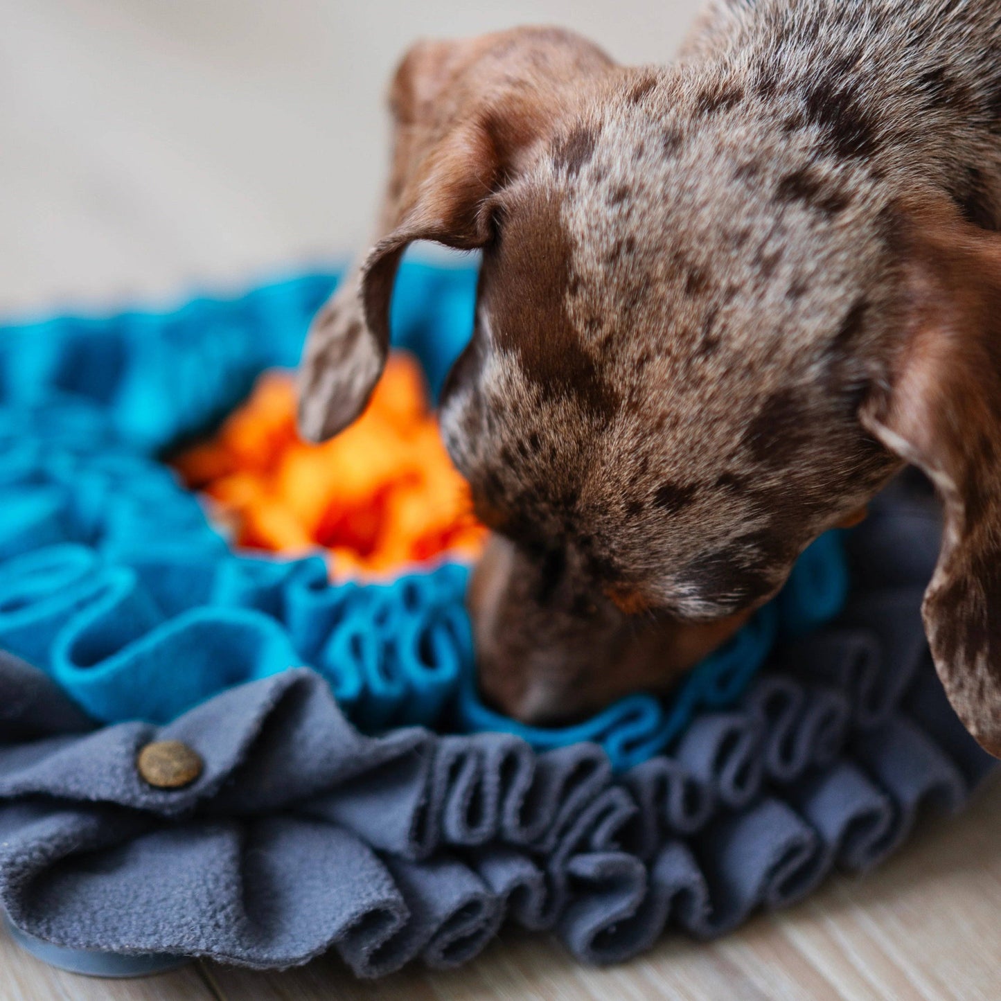 Tapis de fouille - Messy Mutts
