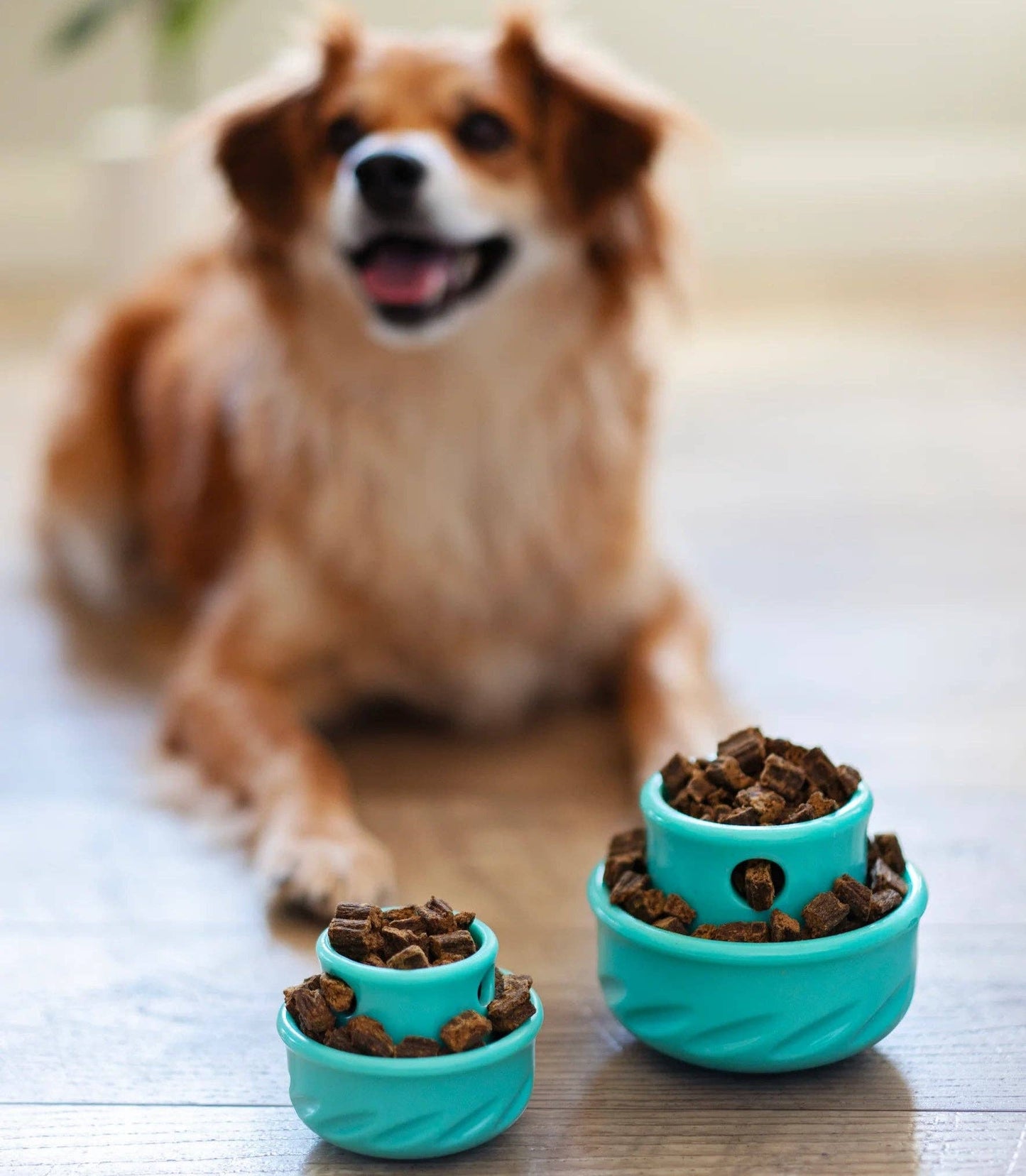Totally Pooched - Jouet pour chien champignon Puzzle'n Play - Messy Mutts