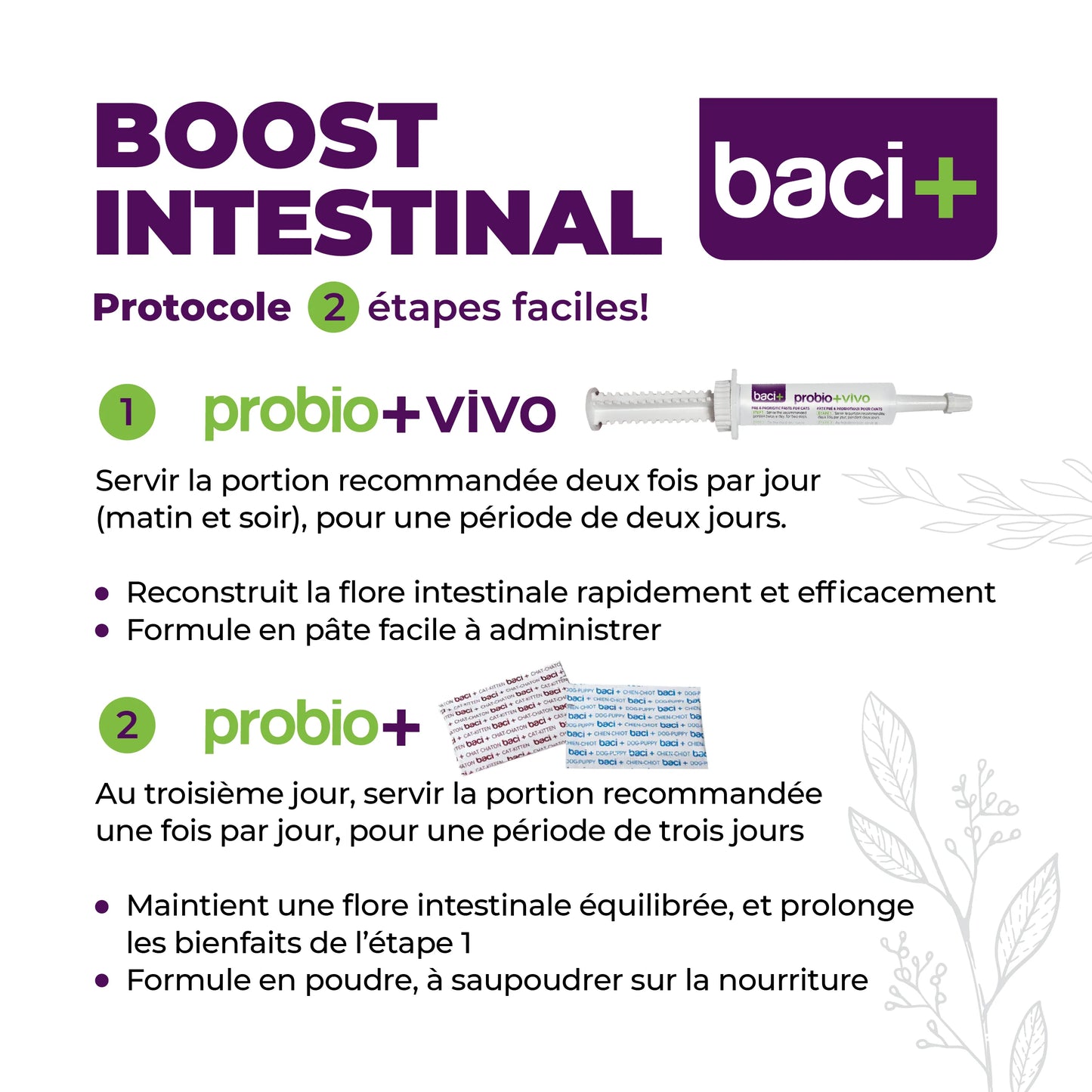 Trousse Boost Intestinal pour Chiens - Baci+