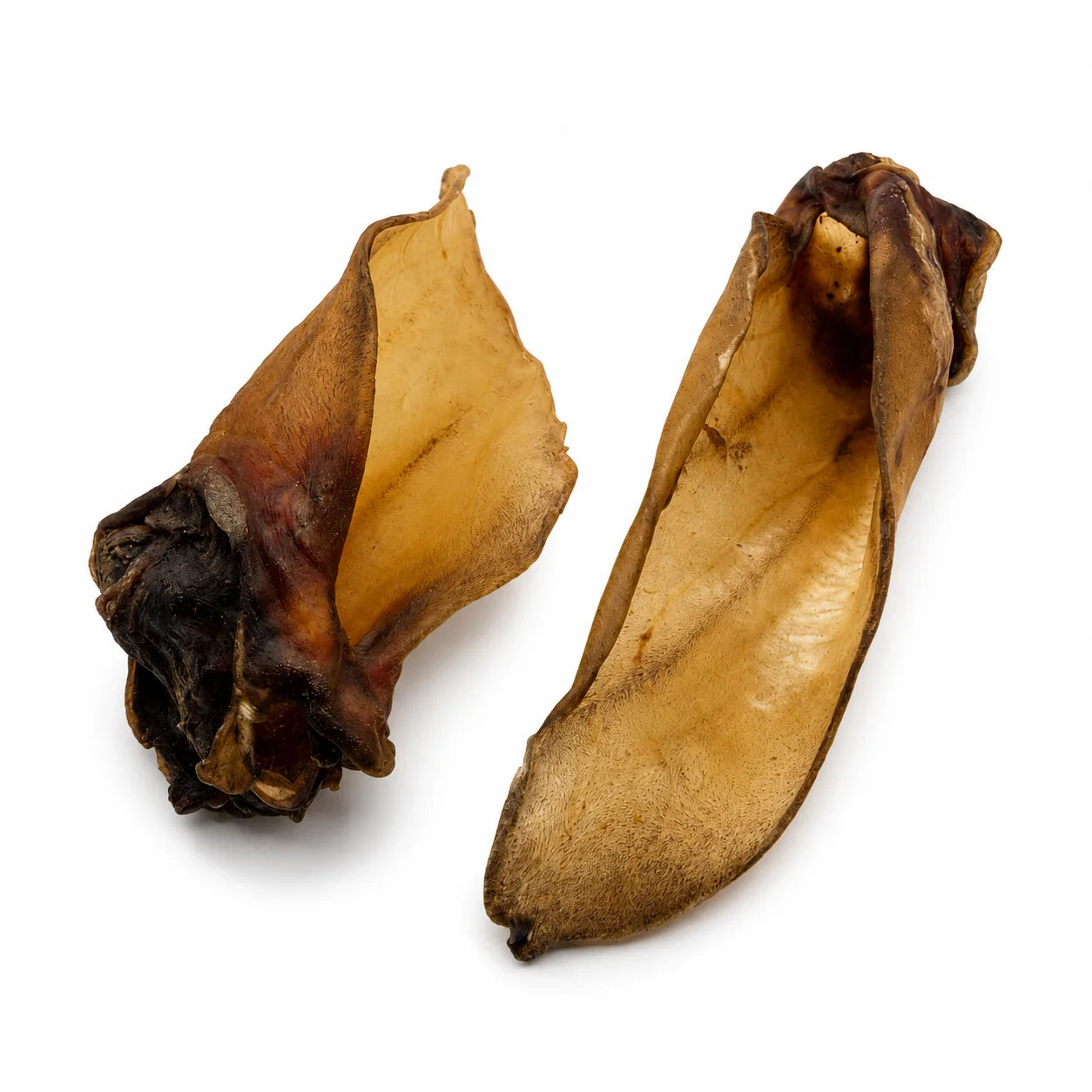 Oreille de Buffle Jumbo - Munchie Bones