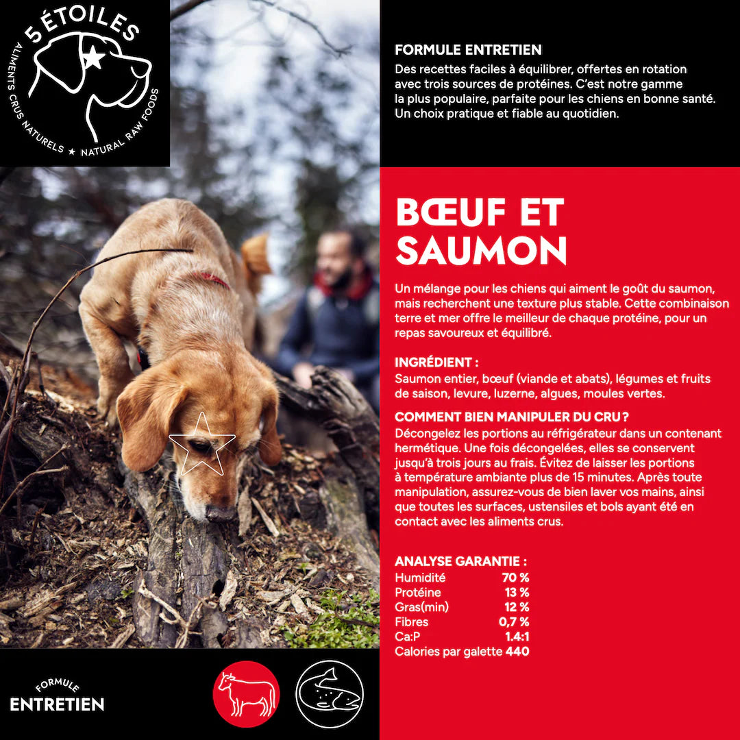 Aliments 5 étoiles - Formule Entretien Boeuf & Saumon 10 lbs