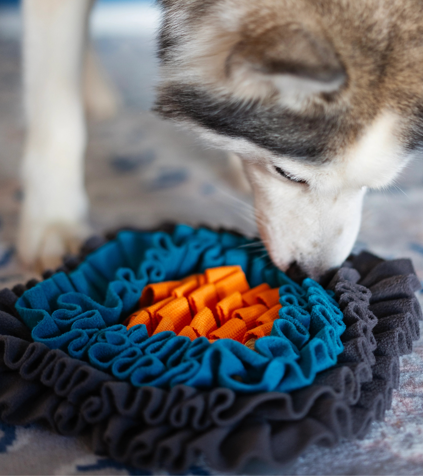 Tapis de fouille - Messy Mutts