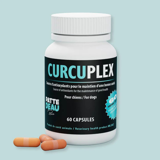 Curcuplex - 60 Capsules - Pattedeau Bio