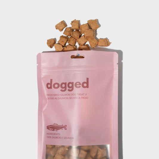 Gâteries pour chien au saumon lyophilisé - Dogged