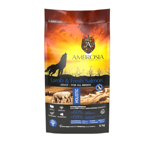 Nourriture Sèche pour Chien - Recette Sans Grains Agneau & Saumon - Ambrosia